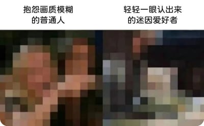 图片分为上下两部分，上半部分左右两侧分别配有文字，左侧为“抱怨画质模糊的普通人”，右侧为“轻轻一眼认出来的迷因爱好者”。下半部分是一张高度像素化、画质极其模糊的图像，普通人难以辨识内容，但迷因爱好者能凭借对经典梗图的熟悉度快速认出。该梗图通过对比手法，幽默展现了普通人和迷因爱好者在识别模糊梗图能力上的差异。