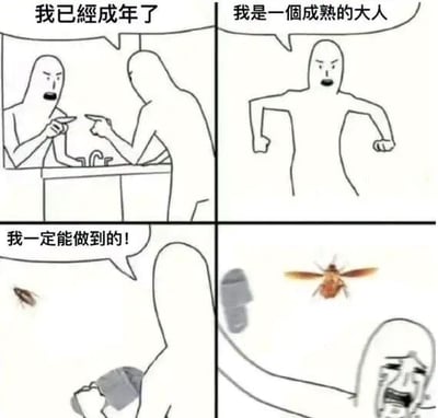 四格连环漫画，通过简单的火柴人形象展现成年人的反差萌。第一格中，一个火柴人对着镜子（或另一个人）坚定地说“我已经成年了”；第二格中，他叉腰自信宣称“我是一个成熟的大人”；第三格中，他面对地上的蟑螂握拳打气“我一定能做到的！”；第四格中，当一只飞虫（疑似黄蜂）出现时，他瞬间崩溃大哭，表情惊恐。通过前后态度的强烈对比，幽默地表现了成年人在面对“成熟”标签与真实恐惧（如昆虫）时的矛盾状态。