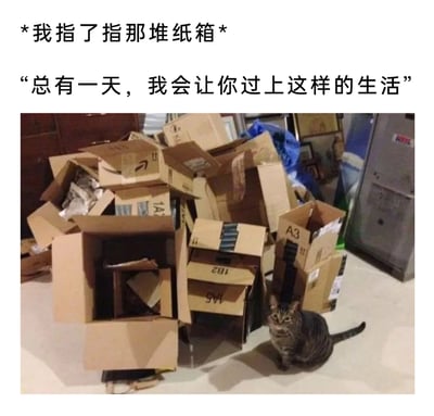 这是一张宠物主题的搞笑梗图，图片上方配有两段文字，先是标注“*我指了指那堆纸箱*”，随后是一句模仿承诺语气的话“总有一天，我会让你过上这样的生活”。图片主体是室内地面上一大堆杂乱堆叠的快递纸箱，纸箱上有“A3”“1A”等标识，一只狸花猫蹲坐在纸箱堆的右侧地面上，表情看起来有些茫然。该梗图利用猫咪天生喜爱钻纸箱的习性，将堆满纸箱的场景调侃成给猫咪的“奢华生活”承诺，通过人类视角的玩梗文字和猫咪的真实场景形成反差，制造出幽默搞笑的效果，十分贴合宠物爱好者的趣味点。