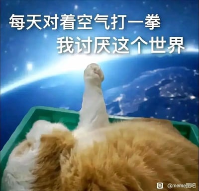 这是一张经过P图改编的搞笑情绪梗图，画面将一只躺卧的橘白猫咪的照片与外太空视角的地球背景合成，猫咪抬起的前爪恰好呈现出类似对着空气打拳的姿态，搭配上方的文字“每天对着空气打一拳 我讨厌这个世界”，用夸张戏谑的方式，精准表达出人们在面对生活压力时产生的烦躁、想要宣泄负面情绪的心情，既幽默又能引发情绪共鸣，适合在社交平台用来抒发情绪。