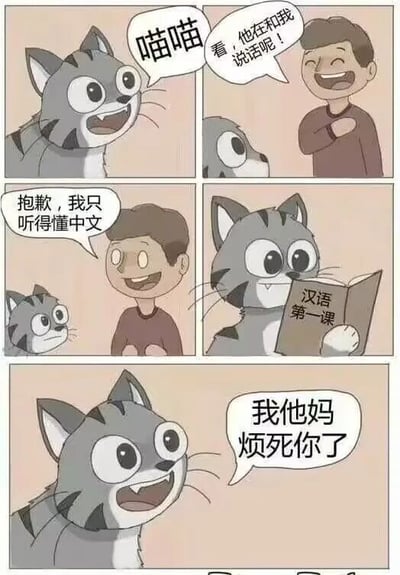 这是一组由五格画面组成的连环卡通漫画，讲述了一个趣味反转的搞笑故事。第一格中，一只灰白斑点的猫咪张着嘴发出“喵喵”的叫声；第二格，一个男生看到猫咪后，笑着说道“看，他在和我说话呢！”，猫咪只露出半个脑袋；第三格，男生带着笑意对猫咪说“抱歉，我只听得懂中文”，猫咪则露出疑惑的表情；第四格，猫咪捧着一本名为《汉语第一课》的书认真阅读，似乎在学习中文；第五格，猫咪瞪大双眼，愤怒地喊出“我他妈烦死你了”，用刚学会的中文直白地表达了对男生的不满，形成了强烈的搞笑反差，将故事推向笑点高潮。