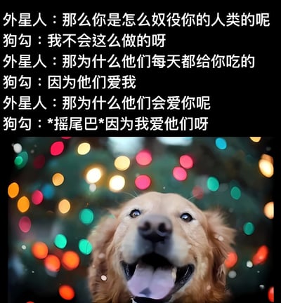 图片上半部分是外星人与狗狗的趣味对话，外星人疑惑狗狗如何'奴役'人类，狗狗则用简单纯真的回答展现了与人类之间的爱与被爱关系。下半部分是一只金毛犬抬头吐舌的可爱照片，背景有彩色光斑，营造温馨氛围。