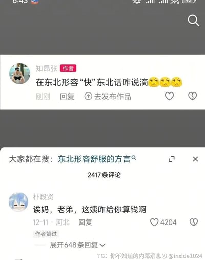 这是一张国内社交平台评论区的截图，上方是用户“知昂张”发布的提问，询问东北话里形容“快”的说法，附带了三个皱眉的小黄脸表情；下方高赞回复来自用户“朴段贤”，内容为“诶妈，老弟，这姨咋给你算钱啊”，这句话是谐音梗，“这姨咋”的发音和东北方言里表示速度很快的“贼快”发音相近，用玩梗的方式巧妙回答了提问，该回复获得4204个赞，还被提问的作者点赞。页面还显示该提问共有2417条评论，同时有“东北形容舒服的方言”的相关搜索推荐，底部附带Telegram渠道水印。