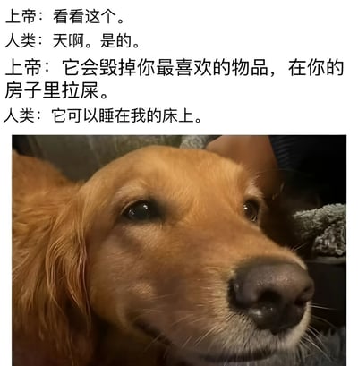 图片上方是上帝与人类的趣味对话，上帝警告“它会毁掉你最喜欢的物品，在你的房子里拉屎”，人类却毫不犹豫回答“它可以睡在我的床上”。下方是一张金毛犬的特写照片，狗狗眼神温顺无辜，毛发柔软，表情可爱。通过反差对话展现了人类对宠物的包容与喜爱，即使知道会带来麻烦也心甘情愿接纳。