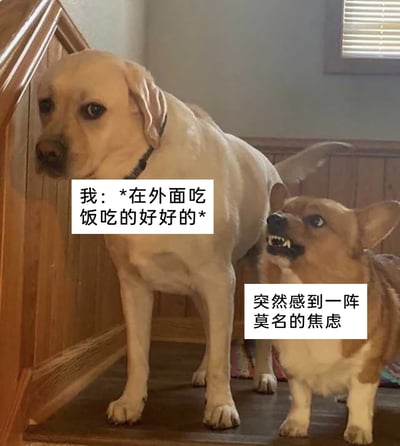 这是一张文字加注类宠物梗图，画面主体是两只宠物狗：一只体型较大的拉布拉多平静地站在楼梯口，神态放松自然；旁边的柯基则张嘴露齿，眼神惊恐，表情激动焦虑。图中为两只狗分别配上文字，拉布拉多对应的文字是“我：*在外面吃饭吃的好好的*”，柯基对应的文字是“突然感到一阵莫名的焦虑”，用两只狗的反差表情拟人化地表现出人在处于放松状态时，毫无缘由地产生焦虑情绪的状态，精准戳中很多人时常经历的莫名焦虑的心理，引发情绪共鸣。