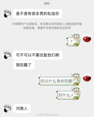 该图为聊天记录截图，展示了一段幽默对话。一方询问“是不是有很多男的私信你”，随后表示“可不可以不要回復他們啊 我吃醋了”，另一方反问“你以什么身份吃醋？你什么人”，最终回复“河南人”。中间穿插系统提示“为保障用户沟通安全，未互相关注的陌生人违规消息可能会被处理，请遵守法律法规和社区规范”。对话双方的头像分别为戴眼镜的卡通羊和红色苹果，整体风格轻松诙谐，通过地域身份的巧妙回应制造笑点。