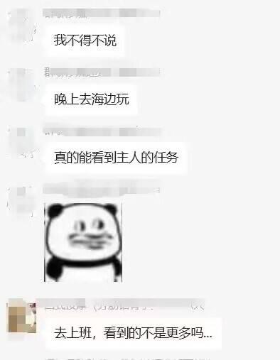 这是一段社交聊天记录截图，上方用户发言：“我不得不说
晚上去海边玩
真的能看到主人的任务”，中间搭配了一个一脸无奈的熊猫头表情包，下方用户回复：“去上班，看到的不是更多吗...”。这里玩了“主人的任务”的网络梗，原本“主人的任务”指一些被安排的奇怪任务，用户用海边的经历引出话题，回复的人则吐槽上班时老板布置的任务才是更频繁的“主人的任务”，用幽默的方式道出打工人被安排任务的无奈情绪。