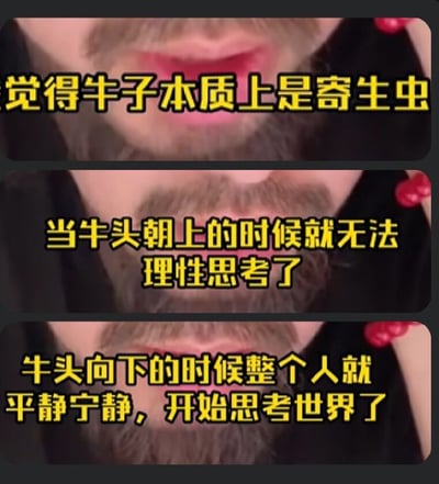 一张三格拼接的表情包，每格都是同一个有胡子的人的嘴唇特写，配上黄色文字。文字内容为：“觉得牛子本质上是寄生虫”、“当牛头朝上的时候就无法理性思考了”、“牛头向下的时候整个人就平静宁静，开始思考世界了”。内容使用了比喻和夸张的手法制造幽默效果。