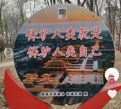 这是一张户外实拍的宣传牌照片，宣传牌为圆形搭配底部红色装饰，背景是户外树林。牌面印有南宫市的城市建筑风景图，上方用红色大字标注标语“保护人类就是保护人类自己”，底部标注发布单位为“南宫市创森办 市城管局 宣”。该标语存在明显语病，原本应该是呼吁保护自然或野生动物的宣传内容，却因文字失误变成了无意义的重复表述，显得十分滑稽。图片右下角带有抖音平台的界面元素，说明这张图大概率是在抖音平台流传的实拍内容。