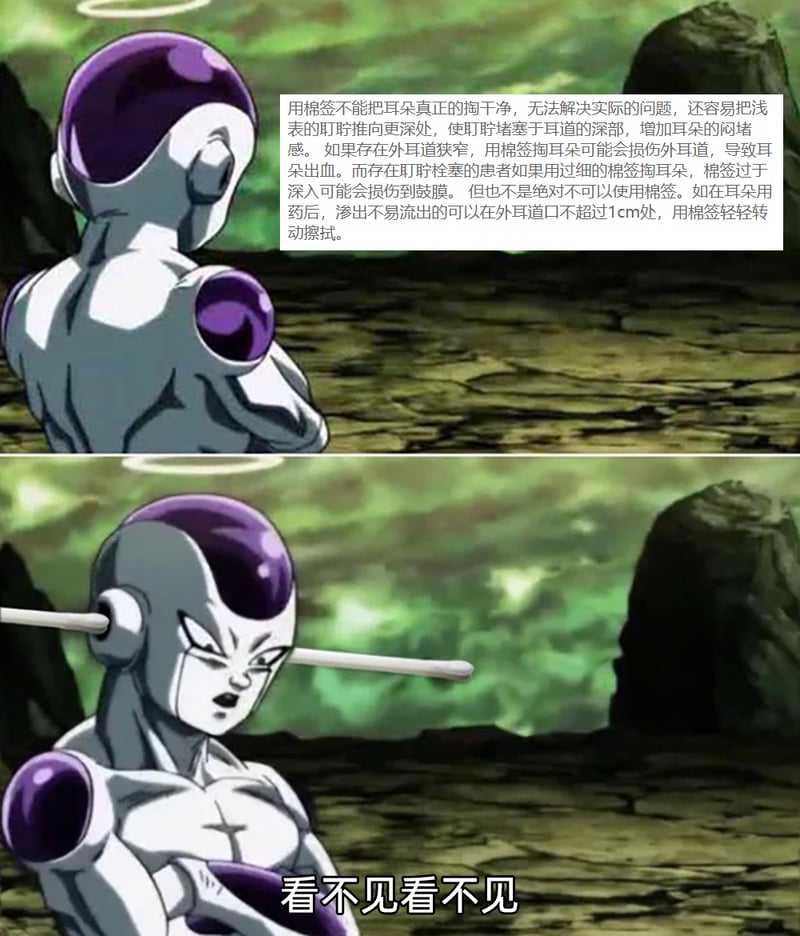 弗利萨