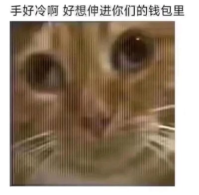图片上方配有文字“手好冷啊 好想伸进你们的钱包里”，下方是一张猫咪面部的特写照片，猫咪的脸部被竖条纹效果覆盖，类似透过百叶窗观看的视觉效果，能清晰看到猫咪的眼睛和鼻子。整体通过可爱的猫咪形象与幽默的文字结合，以俏皮的方式表达了想要“伸手拿钱”的调侃意味，风格轻松有趣。
