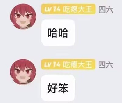 这是一张竖屏的聊天记录截图，展示了来自同一用户“LV14 吃瘪大王”的两条连续消息。用户头像为动漫风格，角色有着红色短发、猫耳特征、脸颊红晕和微笑表情。第一条消息内容为“哈哈”，第二条为“好笨”，均显示在白色对话气泡中，背景为浅灰色。整体画面简洁，突出聊天内容和用户头像。