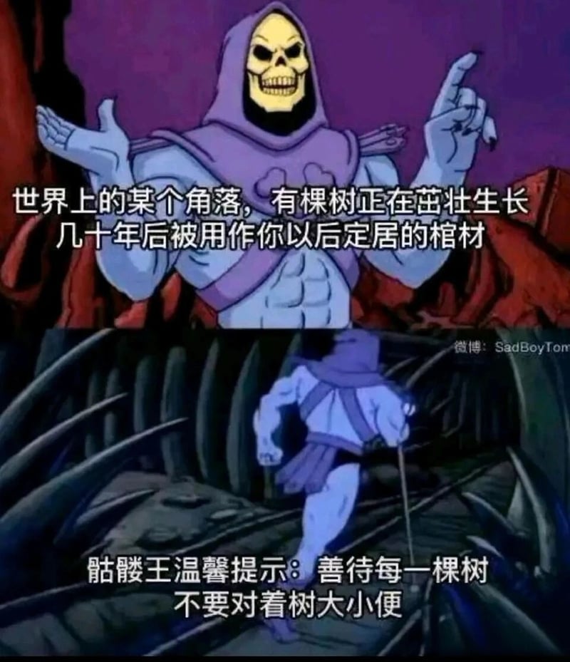 骷髅王