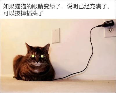 一张搞笑梗图，画面中一只棕色虎斑猫趴在墙边插座旁，眼睛被P成了亮绿色，仿佛正在充电。上方配文'如果猫猫的眼睛变绿了，说明已经充满了，可以拔掉插头了'，用拟人化的方式把猫咪比作需要充电的电子设备，绿色眼睛则幽默地暗示电量已满。