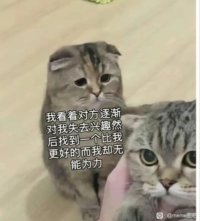 这是一张经过文字加注改编的静态meme图，画面中有两只猫咪，前景的猫咪被人手温柔抚摸，神态懵懂放松；背景的猫咪独自坐在地面，眉眼耷拉，神情落寞。搭配的文字“我看着对方逐渐对我失去兴趣然后找到一个比我更好的而我却无能为力”，将猫咪的神态拟人化，精准传递出在亲密关系或社交关系中，看着对方转向他人、自己却无力改变的失落与挫败感，极易引发有类似经历的人的情感共鸣。