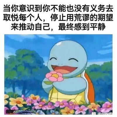 这是一张经过二次创作的治愈系meme，画面主体是《精灵宝可梦》中的经典角色杰尼龟：它闭着眼睛开心大笑，双手抱着一朵粉色的花，置身于色彩缤纷的花丛中，背景是葱郁的树木与晴朗的蓝天，整体氛围轻松愉悦。图片上方配有文字“当你意识到你不能也没有义务去取悦每个人，停止用荒谬的期望来推动自己，最终感到平静”，用杰尼龟满足快乐的状态，生动具象地表现出放下讨好型人格、摆脱过高自我期待后，内心获得的平静与松弛感，能够引发观者在面对自我内耗、社交压力时的共鸣，传递出接纳自我、放松心态的积极情绪。