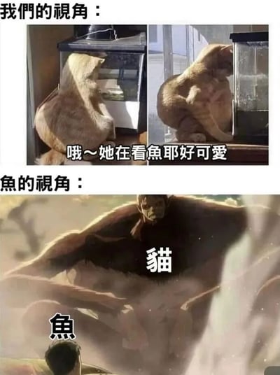 图片分为上下两部分形成视角对比。上半部分「我们的视角」展示两张橘猫趴在鱼缸边看鱼的照片，配文「哦~她在看魚耶好可愛」，猫咪姿态憨态可掬；下半部分「魚的視角」则用一张充满压迫感的插画，将猫咪描绘成巨大、肌肉发达的恐怖生物，下方标注「貓」，小鱼在其阴影下显得渺小无助并标注「魚」。通过人类眼中的可爱猫咪与鱼眼中的恐怖掠食者形象反差制造幽默效果。