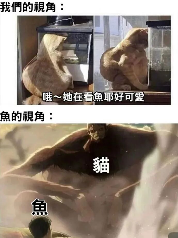 插画创作