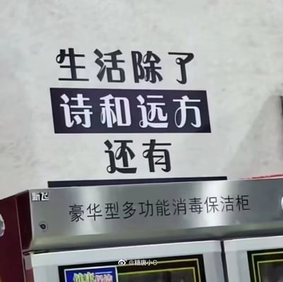 这是一张充满趣味反差的实拍图，墙面上方张贴着文艺风格的标语：“生活除了诗和远方还有”，而在文字的正下方，恰好是新飞品牌的“豪华型多功能消毒保洁柜”的产品标识，二者组合在一起，将原本浪漫的文艺语句与充满烟火气的居家日常家电形成巧妙反差，调侃了理想中的“诗和远方”与现实里的居家琐事并存的生活状态，用幽默的方式展现了生活的真实一面。