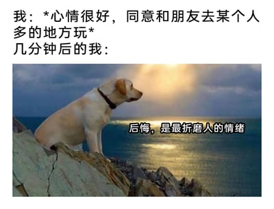 这是一张图文结合的网络梗图，通过前后对比的文字搭配情绪照片，精准还原社恐人群或易反悔人群的日常：上方文字先描述“我”一开始心情不错，答应和朋友去人多的地方游玩；紧接着用一张狗狗落寞坐在海边岩石上的照片，搭配配文“后悔，是最折磨人的情绪”，表现出仅仅过去几分钟，“我”就陷入了强烈的后悔情绪中，用巨大的情绪反差引发同类人群的共鸣，生动刻画了这类人在社交决策后的懊恼心态。