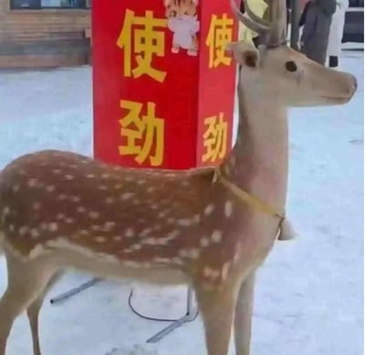 这是一张利用视觉错位打造的趣味实拍图，在雪地场景中，一只仿真梅花鹿模型被固定站立，其身体后方立着一个红色柱状标识，标识上印着黄色的“使劲”字样，还有虎年卡通小老虎图案。从拍摄角度看，“使劲”字样刚好贴合在小鹿的身体区域，仿佛是小鹿自带的标语，制造出滑稽的视觉效果，充满趣味性。