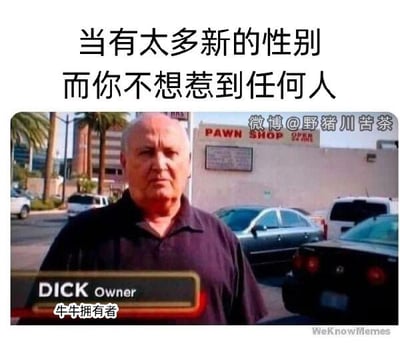 这是一张用来调侃当下性别分类越来越多的搞笑梗图。图上方配有中文文字「当有太多新的性别而你不想惹到任何人」，下方是国外典当节目《典当之星》的截图，图中的当铺老板名字标注为「DICK Owner」，被翻译成「牛牛拥有者」。这里存在双关梗：「DICK」既是老板的名字，在英文俚语中又指代男性生殖器，翻译用「牛牛」对应这个俚语含义，用直接表明生理特征的方式，来避免因说错性别分类而得罪人的尴尬，用幽默的方式吐槽性别分类过多带来的社交困境。