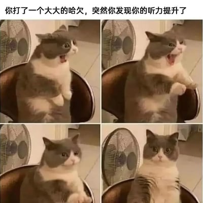 四格拼图展示一只灰白色猫咪打哈欠后听力突然提升的搞笑场景。第一张图：猫咪坐在椅子上，嘴巴大张打哈欠，表情夸张；第二张图：猫咪打完哈欠，一只前爪抬起，耳朵竖起，似乎听到了什么；第三张图：猫咪歪着头，眼神专注，耳朵完全竖起，表情警觉；第四张图：猫咪坐直身体，双眼圆睁，耳朵保持警觉状态，背景中可见电风扇。图片上方配有文字：'你打了一个大大的哈欠，突然你发现你的听力提升了'，通过猫咪的表情变化幽默地表现了听力提升的效果。