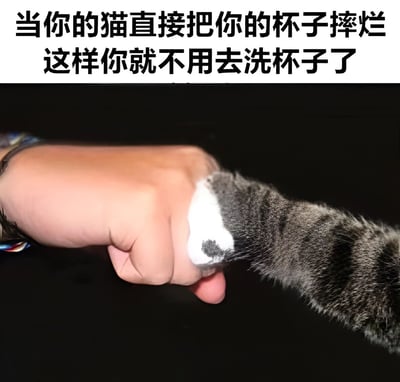图片上方配有文字“当你的猫直接把你的杯子摔烂 这样你就不用去洗杯子了”，下方是一张特写照片：一只人类的拳头紧握，一只灰白相间的猫爪搭在拳头上，似乎在安抚或互动。整体通过幽默的文字和温馨又带点无奈的画面，调侃猫咪调皮打碎物品却意外“解决”了洗杯子麻烦的日常场景。