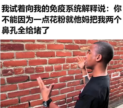 图片上方是黑色粗体文字：'我试着向我的免疫系统解释说：你不能因为一点花粉就他妈把我两个鼻孔全给堵了'。下方是一名非裔男子站在红砖墙前，侧身对着墙壁，双手做出解释的手势，表情无奈又认真，仿佛正在对着墙壁（比喻免疫系统）进行无效沟通。这张图用拟人化的方式幽默表达了花粉过敏时免疫系统过度反应导致鼻塞的无奈感受。