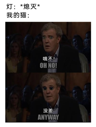 这是一张上下拼接的对比式梗图，通过文字和P图结合的方式，调侃猫咪在灯光熄灭时的反应。上方文字设定场景“灯：*熄灭* 我的猫：”，图中使用被P上猫眼睛的杰里米·克拉克森的表情图，第一张图配文“哦不！OH NO!”，模拟灯光刚熄灭时猫咪短暂的惊慌失措；第二张图配文“没差 ANYWAY”，表现猫咪适应黑暗后立刻变得无所谓的状态，生动还原了养猫人常见的猫咪趣味日常，用人类的夸张表情放大了猫咪的反差感，十分诙谐有趣。