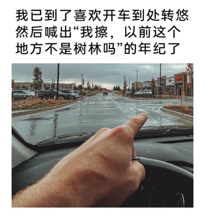 这是一张顶配底文的静态实拍图，画面从汽车驾驶座视角拍摄，一只手搭在方向盘上，手指指向车窗外的街道，窗外是已经开发成商业区的街道，路面潮湿，两侧是新建的商铺与停车场。上方配文“我已到了喜欢开车到处转悠然后喊出‘我擦，以前这个地方不是树林吗’的年纪了”，精准传递出随着年龄增长，重游旧地时发现环境已发生巨大变迁，从而产生物是人非、时光悄然流逝的感慨，戳中了众多人在成长过程中，面对城市快速发展、旧貌换新颜的共鸣点。