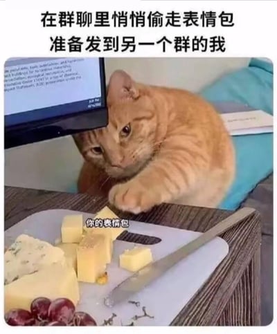 这张梗图用一只偷偷伸手够奶酪的橘猫，类比人们在群聊里悄悄保存别人的表情包、准备转发到另一个群的行为。图中上方配文“在群聊里悄悄偷走表情包准备发到另一个群的我”，奶酪上标注“你的表情包”，橘猫小心翼翼的神态和动作完美还原了偷存表情包时有点心虚又迫不及待的样子，非常贴合日常网络社交的小细节，搞笑又真实。
