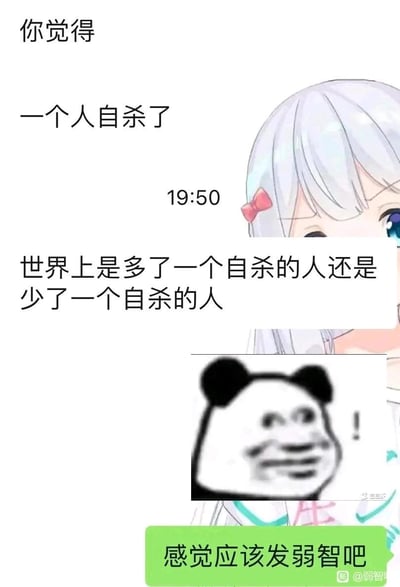 这是一张拼接而成的聊天记录梗图，上方以动漫角色和泉纱雾为头像的聊天框提出一个无厘头逻辑悖论问题：“你觉得一个人自杀了，世界上是多了一个自杀的人还是少了一个自杀的人”，中间搭配了一个一脸震惊、带有感叹号的熊猫头表情包，下方绿色聊天框回复“感觉应该发弱智吧”，吐槽这个问题的无厘头风格，类似百度贴吧“弱智吧”的内容调性。这个问题是典型的文字逻辑悖论，若将‘自杀的人’理解为‘完成自杀行为的对象’，则世界上多了一个有自杀行为记录的人；若理解为‘处于自杀过程中或可能自杀的活人’，则世界上少了一个这样的人，两种解读都有合理性，整体风格搞笑又让人无语。