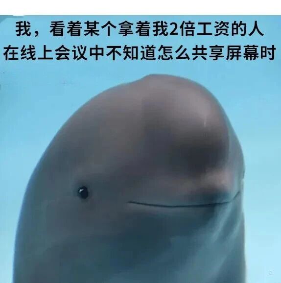 白鲸