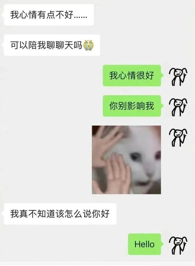 这是一张模拟聊天对话的梗图，左侧用户表达心情不好希望聊天，右侧用户却以"我心情很好"、"你别影响我"等回应拒绝，中间插入一张双手捂住猫脸的图片，最后以"Hello"结尾，形成幽默的反差效果。