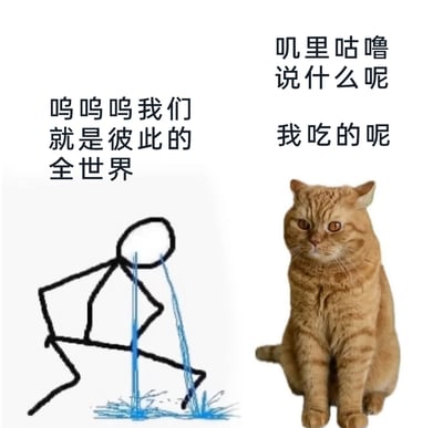 这是一张搞笑反差类的表情包，画面左侧是一个手绘的火柴人，它弯腰坐着，眼泪大量滴落，配文“呜呜呜我们就是彼此的全世界”，呈现出完全沉浸在伤感情绪中的状态；画面右侧是一只端坐着的橘猫，它表情疑惑又带着一丝冷漠，配文“叽里咕噜说什么呢 我吃的呢”，完全没有在意火柴人的伤感，只关心自己的食物。两者形成了强烈的情绪反差，用宠物的吃货属性消解了人类的emo情绪，充满了幽默搞笑的氛围，适合用来调侃伤感时刻被现实或宠物打断的场景。