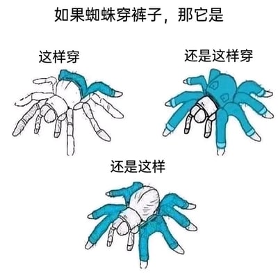 这是一张充满无厘头趣味的手绘图文，顶部以文字提出“如果蜘蛛穿裤子，那它是”的脑洞问题，随后展示了三种不同的蜘蛛穿裤子的设想方案：第一种是裤子仅包裹蜘蛛的两条后肢；第二种是连体式裤子将蜘蛛的八条腿全部包裹；第三种是裤子包裹蜘蛛的四条后肢，前四条腿裸露在外。整体采用卡通手绘的风格，通过违背常规的趣味设想制造搞笑效果，适合在社交平台引发轻松讨论。