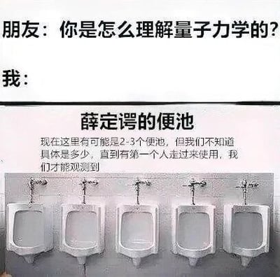 这是一张图文混排的搞笑科普静态图，采用对话形式引出内容：朋友询问“你是怎么理解量子力学的？”，回答者提出“薛定谔的便池”这一类比，下方配文解释该类比：在有人使用观测之前，无法确定可用便池的具体数量是2-3个，只有当第一个人使用时才能确定。画面底部是五个并排的白色男用小便池，整体用生活化的荒诞场景调侃式解释量子力学中“观测影响结果”的核心概念，将抽象的物理原理转化为接地气的日常场景，既降低了理解门槛，又通过反差感制造出幽默效果。