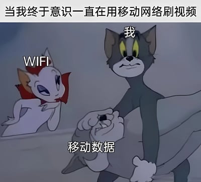图中描绘了当意识到自己一直在用移动网络刷视频时的场景。左侧是戴着红色装饰、表情略带嘲讽的白猫，标注为'WIFI'；右侧是灰蓝色的猫（类似《猫和老鼠》中的汤姆），标注为'我'，正用力按住下方一只被标注为'移动数据'的灰色小猫，表情充满懊悔和紧张。整体画面通过卡通角色的互动，幽默展现了忘记连WIFI而误用移动数据的尴尬瞬间。
