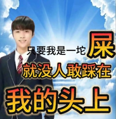 这是一张带有自嘲意味的网络梗图，画面左侧是一位身着白色衬衫、深色西装系着红纹领带的真人男性，他面带温和的微笑站立着；背景是带有明亮放射光效的蓝天白云，营造出反差感的氛围。画面右侧搭配了醒目的渐变色彩文字“只要我是一坨屎，就没人敢踩在我的头上”，通过自贬的极端表述，传递出一种摆烂、自保的心态，用幽默的方式表达不想被他人拿捏、欺压的情绪，常被年轻人用于职场或日常社交场景，抒发在压力下选择躺平、避免被针对的心境。