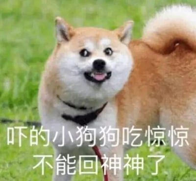 图片中是一只站立在绿色草地上的柴犬，它耳朵竖起，尾巴高高翘起，眼睛瞪得很大，嘴巴张开露出舌头，表情显得十分吃惊。图片下方叠加了白色文字“吓的小狗狗吃惊惊 不能回神神”，用重复叠词的可爱语气强调了狗狗受到惊吓后愣住的状态，整体给人一种搞笑又萌的感觉。