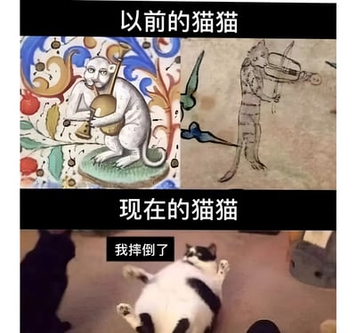 这是一张对比梗图，分为上下两部分。上半部分标题为'以前的猫猫'，包含两幅中世纪风格的艺术作品：左侧是彩色绘画中拟人化演奏乐器的猫，右侧是手稿风格素描中拉小提琴的猫。下半部分标题为'现在的猫猫'，是一只四脚朝天躺在地上的黑白花猫，配文'我摔倒了'，通过历史艺术中优雅的猫形象与现代猫咪慵懒姿态的强烈反差制造幽默效果。