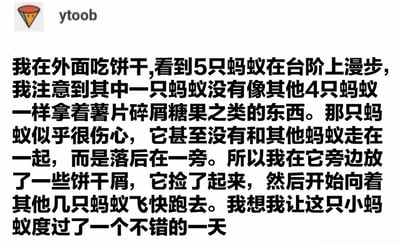 一张包含暖心小故事的图文混排静态图。图中主要文字讲述了作者在外面吃饼干时，发现一只没有携带食物、落在后面的伤心蚂蚁，于是放了饼干屑给它，蚂蚁捡起后飞快跑向同伴的故事。左上角有一个彩色三角形图标和“ytoob”字样的标识。整体内容温馨治愈，传递了对小动物的善意。
