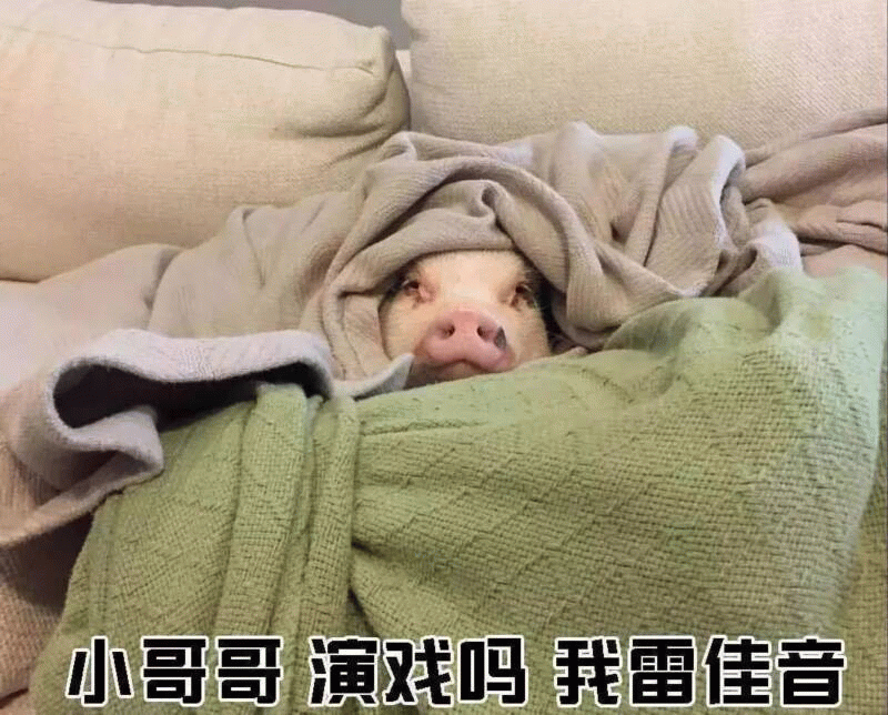 裹紧小被子的猪问：小哥哥演戏吗 我雷佳音