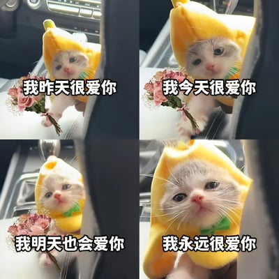这是一张四宫格多图拼接的宠物照片改图，展示了一只戴着黄色香蕉造型帽子的猫咪。猫咪在汽车内饰背景中，每格都手持一小束粉色玫瑰花，表情温柔可爱。图片从左上到右下依次配有文字：“我昨天很爱你”“我今天很爱你”“我明天也会爱你”“我永远很爱你”，通过时间递进表达持续的爱意，整体风格温馨甜蜜，充满治愈感。
