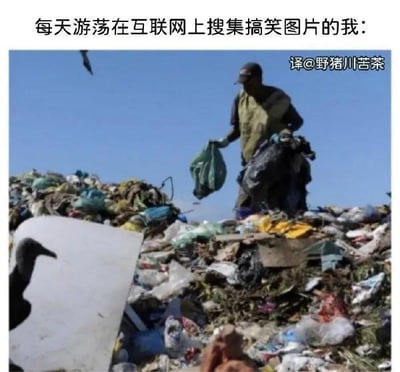 这是一张文字加注的真实照片，照片主体是一位站在堆积如山的垃圾上的拾荒者，他正手持捡拾到的垃圾袋，周围还有秃鹫盘旋，呈现出在垃圾中筛选有用物品的场景。上方配文“每天游荡在互联网上搜集搞笑图片的我”，用非常形象的比喻，自嘲式地将自己在海量繁杂的互联网内容里，筛选、搜集搞笑图片的过程，比作拾荒者在垃圾堆里找有价值物品的过程，精准又幽默地表现出这个过程的繁琐与不易，引发同样有这类经历的网友共鸣。
