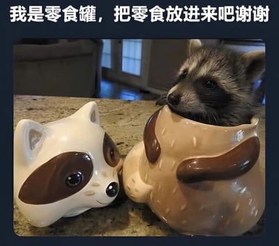 图片上方有一行白色文字“我是零食罐，把零食放进来吧谢谢”，下方是一只真实的小浣熊从一个棕色浣熊造型的陶瓷罐里探出头，旁边摆放着一个白色浣熊造型的陶瓷容器，背景为室内厨房台面及模糊的家具。小浣熊眼神无辜，配合文字仿佛在拟人化地请求将零食放入“自己”这个“罐子”中，整体氛围可爱俏皮。
