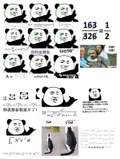 这是一张多图拼接的搞笑表情包集合，核心围绕高等数学、抽象代数、数学分析等专业数学内容展开玩梗。图中大量使用网络流行的暴走熊猫头表情包，搭配爱因斯坦被拉住的经典改图，结合各类复杂数学公式与数学梗：包括狄利克雷函数定义、傅里叶级数、群论中的A4子群问题、泰勒展开式、复杂极限计算、一致连续函数的定义，还有163/326=1/2的约分梗、tan90°代表“不存在”的玩梗内容。通过夸张的表情包神态（从欠揍坏笑到崩溃抓狂）与数学难题结合，精准表达了被复杂数学知识折磨、心态崩溃的情绪，风格诙谐幽默，戳中被数学困扰的学习者的痛点。