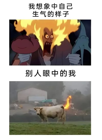 这是一张采用上下对比形式的搞笑梗图，通过两种画面的强烈反差制造笑点。上方配文“我想象中自己生气的样子”，搭配的是经典美式动画里的愤怒角色，该角色头部燃起火焰，表情狰狞、大张嘴巴咆哮，双手攥紧，呈现出极具威慑力的暴怒姿态，代表着自己内心以为生气时的强大气场；下方配文“别人眼中的我”，使用的是一张现实实拍图，画面里一头奶牛站在雾气弥漫的草地上，尾部位置着火，但奶牛本身表情平静，毫无威慑力，甚至显得滑稽，以此调侃自己生气时在他人眼中不仅没有气势，反而十分好笑，精准戳中了很多人“自我认知和他人认知存在反差”的日常场景。