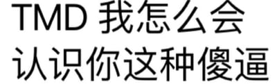 图片为纯文字内容，黑色粗体文字居中显示在白色背景上，内容为“TMD 我怎么会认识你这种傻逼”，表达了强烈的不满和愤怒情绪，常用于对某人表示极度反感或吐槽的场景。无任何双关、谐音梗或暗示内容，属于直白的口语化表达。